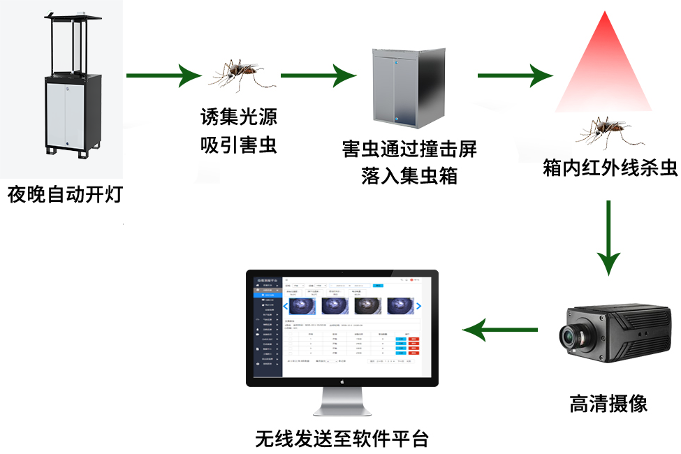 太陽(yáng)能蟲(chóng)情測(cè)報(bào)燈